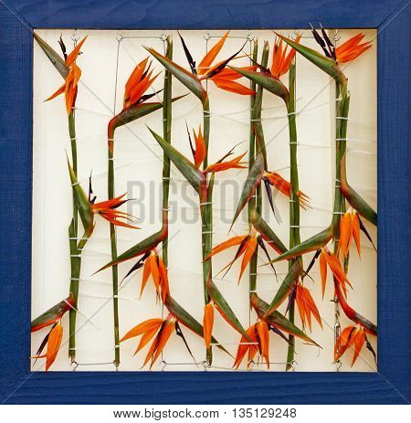 Wall decoration made of flowers Bird of paradise