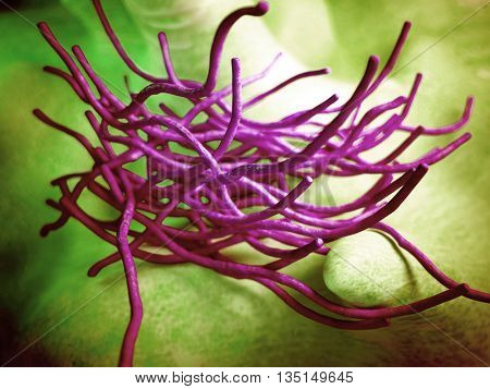 3d rendered, medically accurate 3d illustration of the antrax - close up