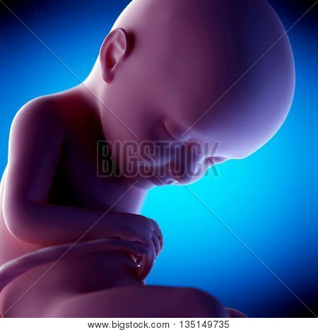 3d rendered, medical 3d animation of a fetus - week 32