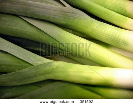  Porrer