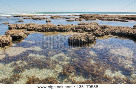 Blue Holes Beach and clear Indian Ocean waters revealing the low tidal pools and coral reef on a clear day in Kalbarri, Western Australia.