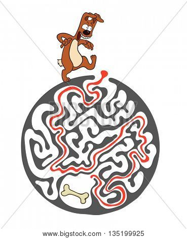 Maze puzzle for kids with dog and bone. Labyrinth illustration, solution included.