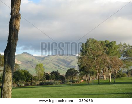 Picco di montagna 