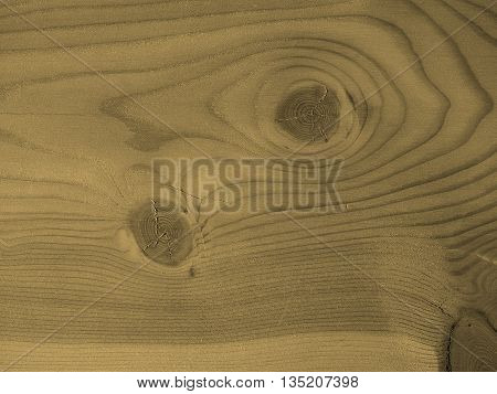 Larch Wood Background Sepia
