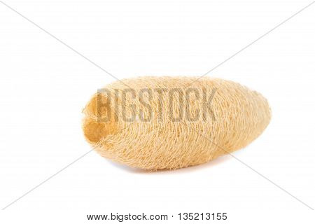 Dry Luffa, Luffa Sponge On White Background, Isolated On White Background