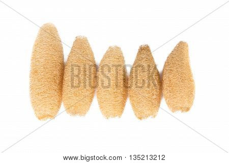 Dry Luffa, Luffa Sponge On White Background, Isolated On White Background