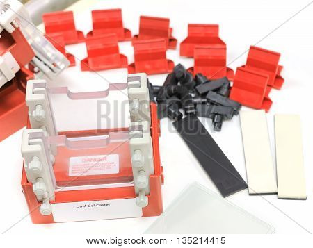 Polyacrylamide gel electrophoresis for separate biological macromolecules test mobility is a function of the length