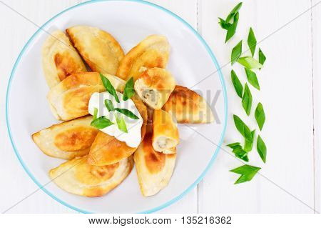 Gedza Japanese Dumplings in the Broth Studio Photo