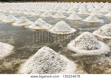 Naklua Or Salt Farm