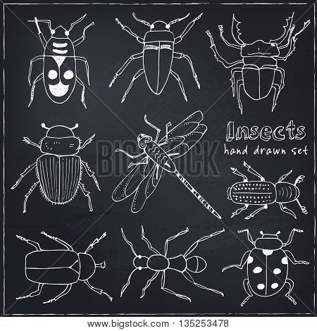 Set of doodle sketch Bugs and beetles. Insects collection kit. Isolated vector illustration