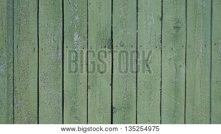 background trees wooden barn door green color looks great