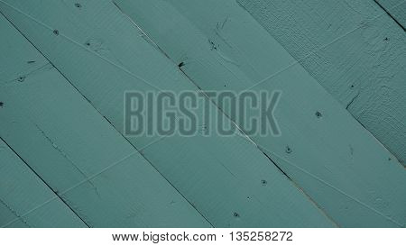 background trees texture of the painted wood in blue color