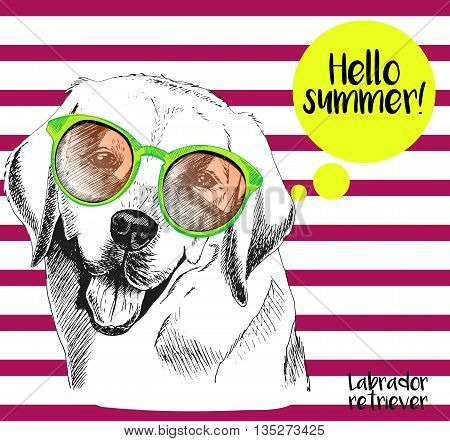 Vector close up portrait of labrador retriever wearing the sunglassess. Hello summer. Hand drawn domectic dog illustration. Isolated on background with cherry strips.