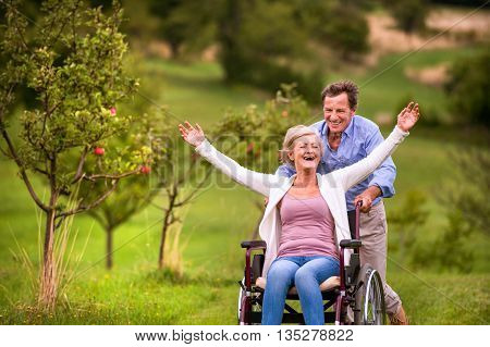 Senior Man Pushing Woman In Wheelchair, Green Autumn Nature