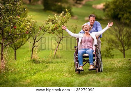 Senior Man Pushing Woman In Wheelchair, Green Autumn Nature
