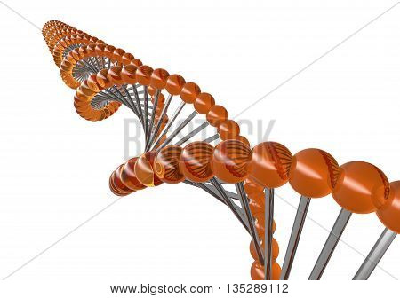 Dubble Helix Dna Structure Isolated On White