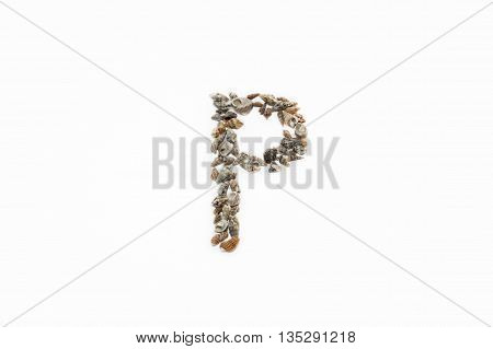The letter "P" made from small seashells