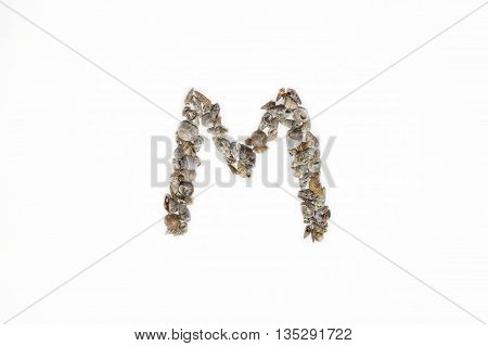 The letter 