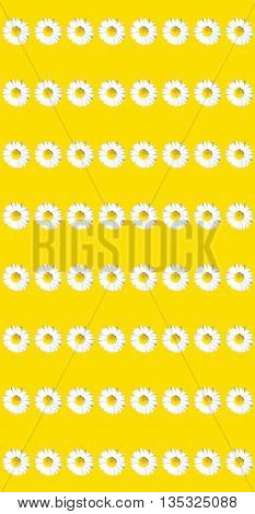 Abstract Creative British Garden Daisy Flower Scene