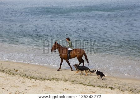 BAIONA, GALICIA, SPAIN - AUGUST 26: young woman riding a horse with her dogs at the beach, on August 26, 2015 in Baiona, Galicia, Spain