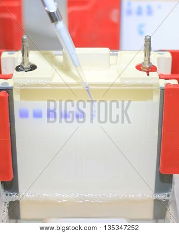 Polyacrylamide gel electrophoresis for separate biological macromolecules test mobility is a function of the length