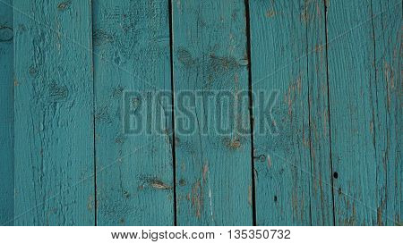 background tree texture of the wooden fence blue sky color