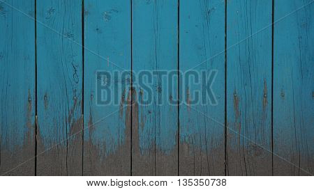 background tree texture of the wooden fence blue