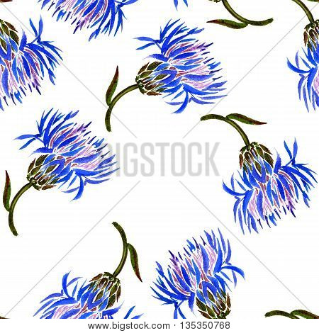 Seamless pattern with watercolor drawing wild cornflowers, bckground with painted wild plants, botanical illustration in vintage style, color drawing floral ornament, hand drawn illustration