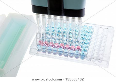 pipette test sample research test lab elisa ninety-six well plate analysis