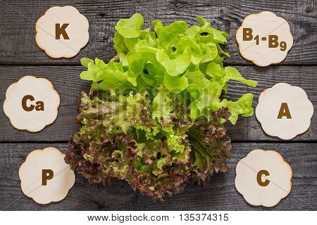 Fresh crispy lettuce and Lollo Rossa. Source of vitamins A C group B rich in potassium calcium phosphorus magnesium. Used in dietary health and vegetarian nutrition detox