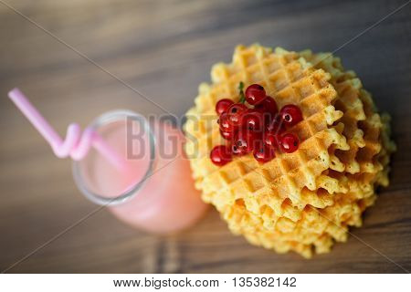 Belgian waffles with fresh berries on cutting board on background of rustic. grapefruit juice. pink cocktail with a straw.