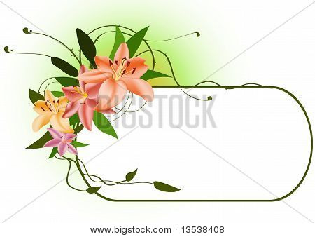 花卉帧