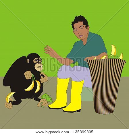 Stuff of Borneo sanctuary feeding monkey with fruits from big basket
