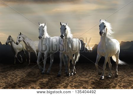 White horse galloping on the background of the sun's rays
