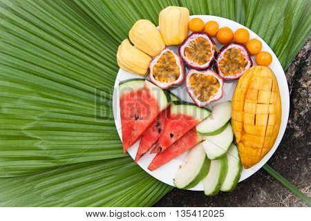 Assortment of sliced tropical fruits on on a background of green palm leaf.