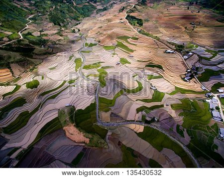 Terraced rice field in water season from above in Mu Cang Chai, Vietnam.