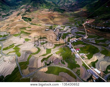 Terraced rice field in water season from above in Mu Cang Chai, Vietnam.