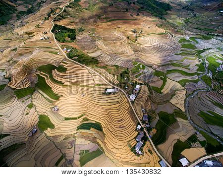 Terraced rice field in water season from above in Mu Cang Chai, Vietnam.