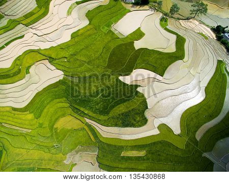 Terraced rice field in water season from above in Mu Cang Chai, Vietnam.
