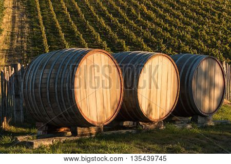 close up of sunlit oak barrels in vineyard