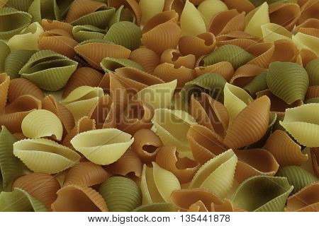 Raw Shells Macaroni Various Color Background