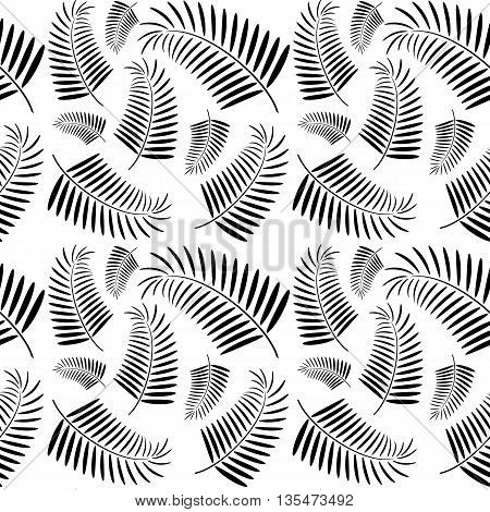 Seamless summer pattern.  Seamless monochrome pattern. Tropical palm tree leaves pattern