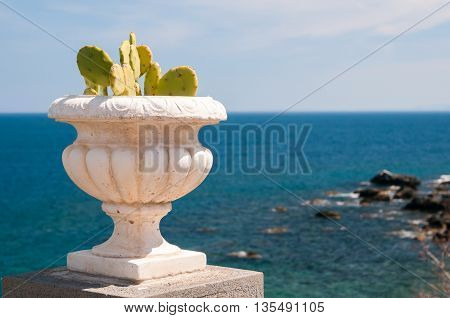 Ornamental cactus vase along the seafront of Acicastello a village in the province of Catania Sicily