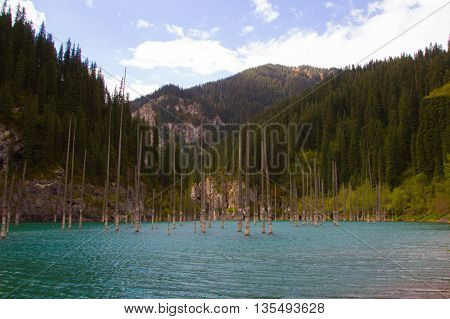 Kaindy Lake in Tien Shan mountain system Kazakhstan