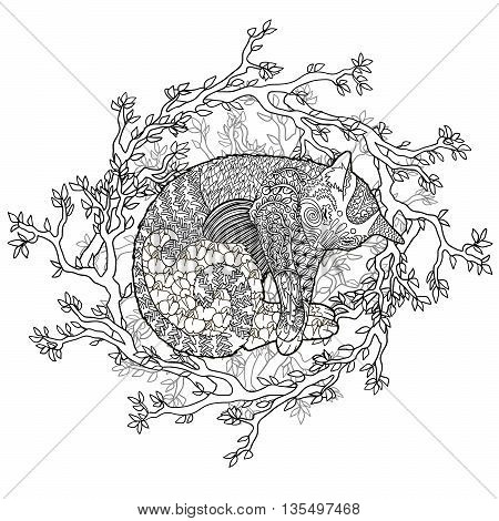 High detail illustration in zen tangle style. Adult coloring page for antistress art therapy. Sleeping catin the nest. Template for t-shirt, tattoo, poster or cover. Vector illustration.