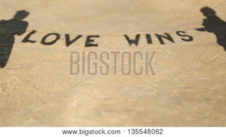 Concept text Love wins on the sand