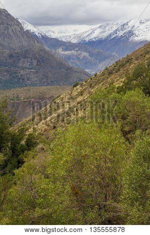 San Alfonso Valley, Trail In The  Mountain