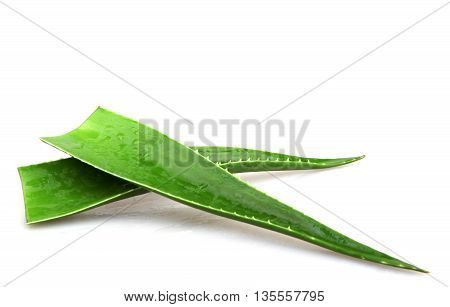 Aloe Vera On White Background Stock Photos