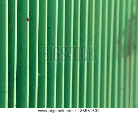 green metal fence. narrow dept of field focuc