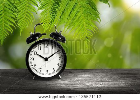 Alarm clock and Fern branches hanging down on wood with blurry green bokeh in background. Concept of time.
